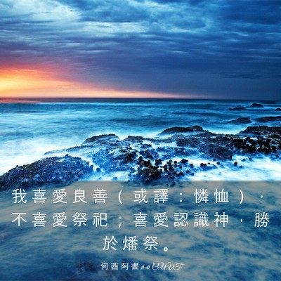 Picture 03 - 何 西 阿 書 6:6 CUVT - 我 喜 愛 良 善 （ 或 譯 ： 憐 恤 ） - Bible Verse Picture