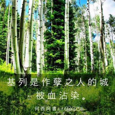 Picture 03 - 何 西 阿 書 6:8 CUVT - 基 列 是 作 孽 之 人 的 城 ， 被 血 - Bible Verse Picture