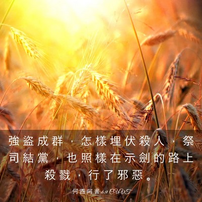 Picture 03 - 何 西 阿 書 6:9 CUVT - 強 盜 成 群 ， 怎 樣 埋 伏 殺 人 ， - Bible Verse Picture