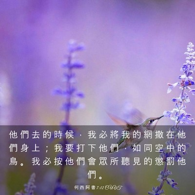 Picture 03 - 何 西 阿 書 7:12 CUVT - 他 們 去 的 時 候 ， 我 必 將 我 的 - Bible Verse Picture