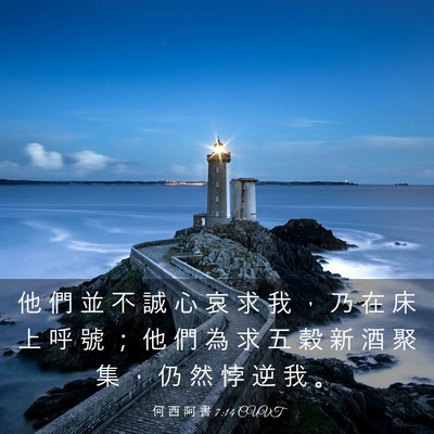 Picture 03 - 何 西 阿 書 7:14 CUVT - 他 們 並 不 誠 心 哀 求 我 ， 乃 在 - Bible Verse Picture