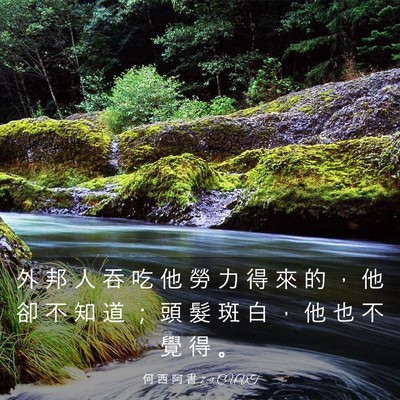 Picture 03 - 何 西 阿 書 7:9 CUVT - 外 邦 人 吞 吃 他 勞 力 得 來 的 ， - Bible Verse Picture