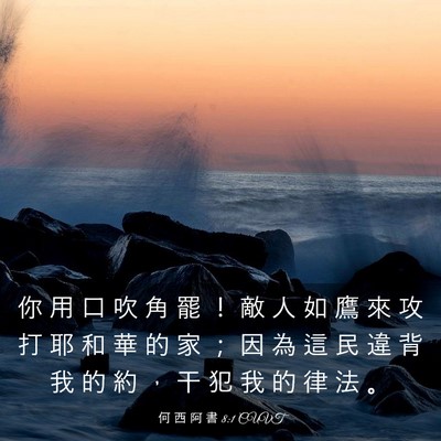 Picture 03 - 何 西 阿 書 8:1 CUVT - 你 用 口 吹 角 罷 ！ 敵 人 如 鷹 來 - Bible Verse Picture