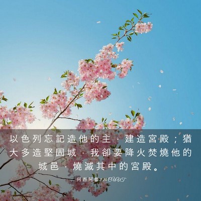 Picture 03 - 何 西 阿 書 8:14 CUVT - 以 色 列 忘 記 造 他 的 主 ， 建 造 - Bible Verse Picture