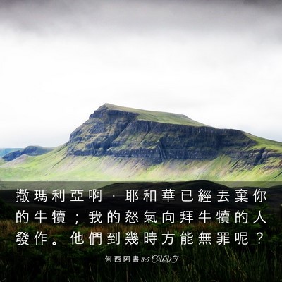 Picture 03 - 何 西 阿 書 8:5 CUVT - 撒 瑪 利 亞 啊 ， 耶 和 華 已 經 丟 - Bible Verse Picture