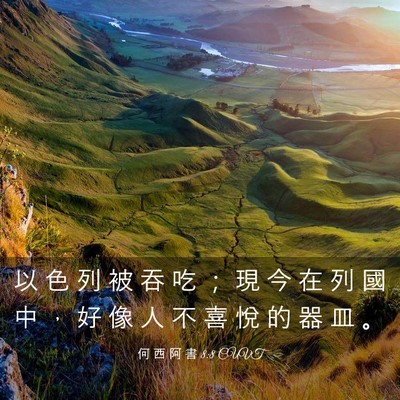 Picture 03 - 何 西 阿 書 8:8 CUVT - 以 色 列 被 吞 吃 ； 現 今 在 列 國 - Bible Verse Picture