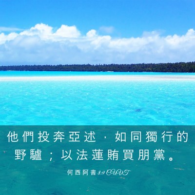Picture 03 - 何 西 阿 書 8:9 CUVT - 他 們 投 奔 亞 述 ， 如 同 獨 行 的 - Bible Verse Picture