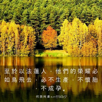 Picture 03 - 何 西 阿 書 9:11 CUVT - 至 於 以 法 蓮 人 ， 他 們 的 榮 耀 - Bible Verse Picture