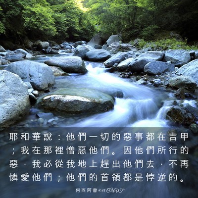 Picture 03 - 何 西 阿 書 9:15 CUVT - 耶 和 華 說 ： 他 們 一 切 的 惡 事 - Bible Verse Picture