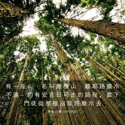 Picture 03 - 使 徒 行 傳 1:12 CUVT - 有 一 座 山 ， 名 叫 橄 欖 山 ， 離 - Bible Verse Picture