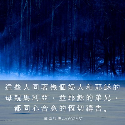 Picture 03 - 使 徒 行 傳 1:14 CUVT - 這 些 人 同 著 幾 個 婦 人 和 耶 穌 - Bible Verse Picture