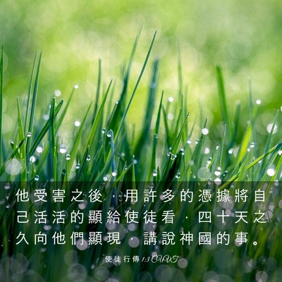 Picture 03 - 使 徒 行 傳 1:3 CUVT - 他 受 害 之 後 ， 用 許 多 的 憑 據 - Bible Verse Picture