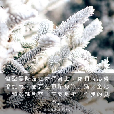 Picture 03 - 使 徒 行 傳 1:8 CUVT - 但 聖 靈 降 臨 在 你 們 身 上 ， 你 - Bible Verse Picture