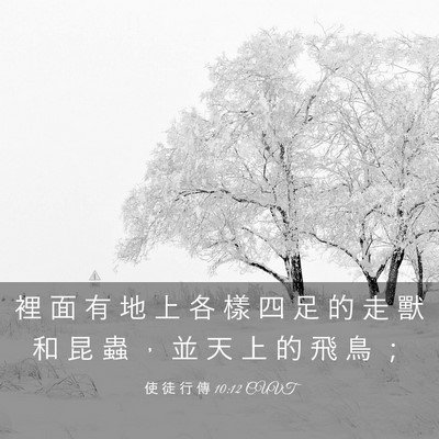 Picture 03 - 使 徒 行 傳 10:12 CUVT - 裡 面 有 地 上 各 樣 四 足 的 走 獸 - Bible Verse Picture