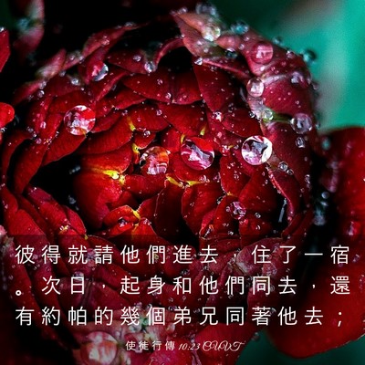 Picture 03 - 使 徒 行 傳 10:23 CUVT - 彼 得 就 請 他 們 進 去 ， 住 了 一 - Bible Verse Picture