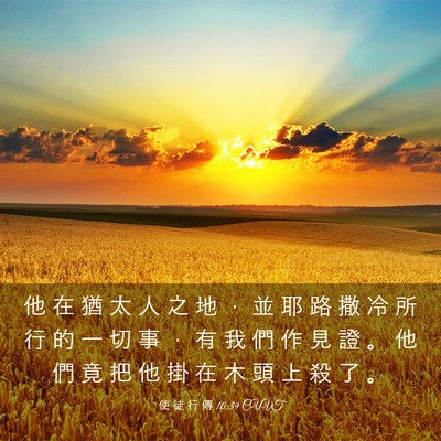 Picture 03 - 使 徒 行 傳 10:39 CUVT - 他 在 猶 太 人 之 地 ， 並 耶 路 撒 - Bible Verse Picture