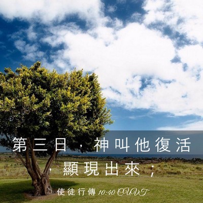 Picture 03 - 使 徒 行 傳 10:40 CUVT - 第 三 日 ， 神 叫 他 復 活 ， 顯 現 - Bible Verse Picture
