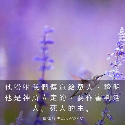 Picture 03 - 使 徒 行 傳 10:42 CUVT - 他 吩 咐 我 們 傳 道 給 眾 人 ， 證 - Bible Verse Picture