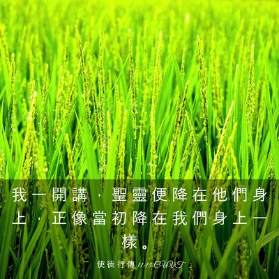 Picture 03 - 使 徒 行 傳 11:15 CUVT - 我 一 開 講 ， 聖 靈 便 降 在 他 們 - Bible Verse Picture