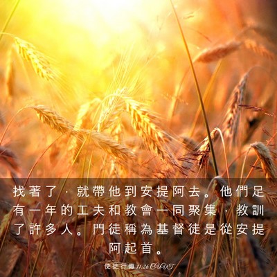 Picture 03 - 使 徒 行 傳 11:26 CUVT - 找 著 了 ， 就 帶 他 到 安 提 阿 去 - Bible Verse Picture
