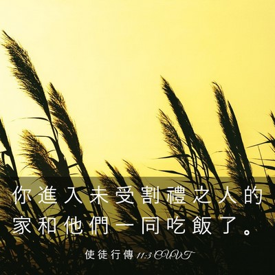 Picture 03 - 使 徒 行 傳 11:3 CUVT - 你 進 入 未 受 割 禮 之 人 的 家 和 - Bible Verse Picture