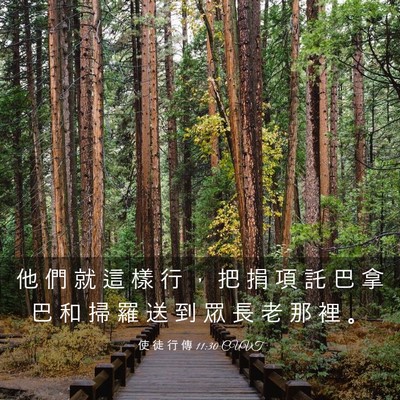 Picture 03 - 使 徒 行 傳 11:30 CUVT - 他 們 就 這 樣 行 ， 把 捐 項 託 巴 - Bible Verse Picture