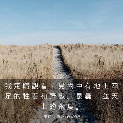 Picture 03 - 使 徒 行 傳 11:6 CUVT - 我 定 睛 觀 看 ， 見 內 中 有 地 上 - Bible Verse Picture