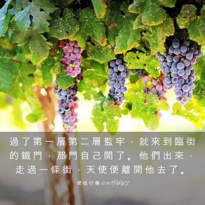 Picture 03 - 使 徒 行 傳 12:10 CUVT - 過 了 第 一 層 第 二 層 監 牢 ， 就 - Bible Verse Picture