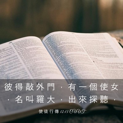 Picture 03 - 使 徒 行 傳 12:13 CUVT - 彼 得 敲 外 門 ， 有 一 個 使 女 ， - Bible Verse Picture