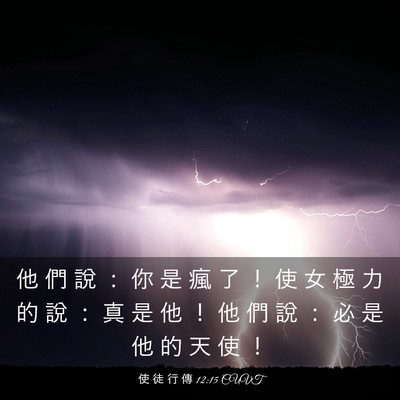 Picture 03 - 使 徒 行 傳 12:15 CUVT - 他 們 說 ： 你 是 瘋 了 ！ 使 女 極 - Bible Verse Picture