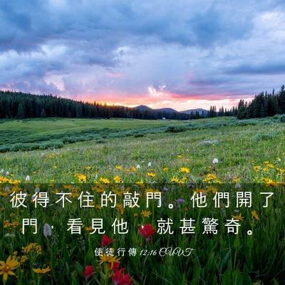 Picture 03 - 使 徒 行 傳 12:16 CUVT - 彼 得 不 住 的 敲 門 。 他 們 開 了 - Bible Verse Picture