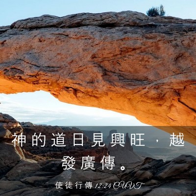 Picture 03 - 使 徒 行 傳 12:24 CUVT - 神 的 道 日 見 興 旺 ， 越 發 廣 傳 - Bible Verse Picture