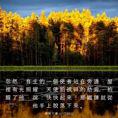 Picture 03 - 使 徒 行 傳 12:7 CUVT - 忽 然 ， 有 主 的 一 個 使 者 站 在 - Bible Verse Picture