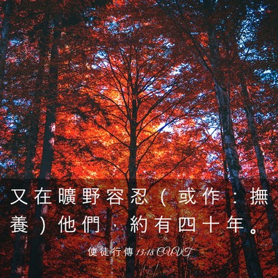 Picture 03 - 使 徒 行 傳 13:18 CUVT - 又 在 曠 野 容 忍 （ 或 作 ： 撫 養 - Bible Verse Picture