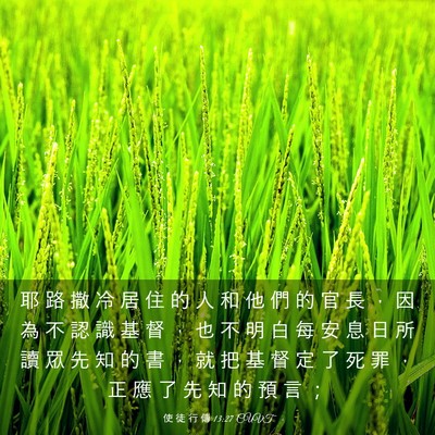 Picture 03 - 使 徒 行 傳 13:27 CUVT - 耶 路 撒 冷 居 住 的 人 和 他 們 的 - Bible Verse Picture