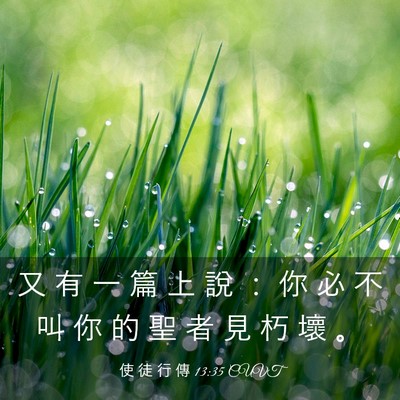 Picture 03 - 使 徒 行 傳 13:35 CUVT - 又 有 一 篇 上 說 ： 你 必 不 叫 你 - Bible Verse Picture