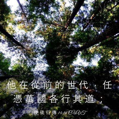Picture 03 - 使 徒 行 傳 14:16 CUVT - 他 在 從 前 的 世 代 ， 任 憑 萬 國 - Bible Verse Picture