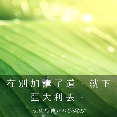 Picture 03 - 使 徒 行 傳 14:25 CUVT - 在 別 加 講 了 道 ， 就 下 亞 大 利 - Bible Verse Picture