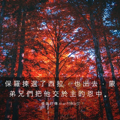 Picture 03 - 使 徒 行 傳 15:40 CUVT - 保 羅 揀 選 了 西 拉 ， 也 出 去 ， - Bible Verse Picture
