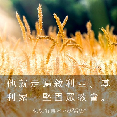 Picture 03 - 使 徒 行 傳 15:41 CUVT - 他 就 走 遍 敘 利 亞 、 基 利 家 ， - Bible Verse Picture
