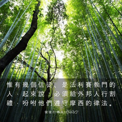 Picture 03 - 使 徒 行 傳 15:5 CUVT - 惟 有 幾 個 信 徒 、 是 法 利 賽 教 - Bible Verse Picture