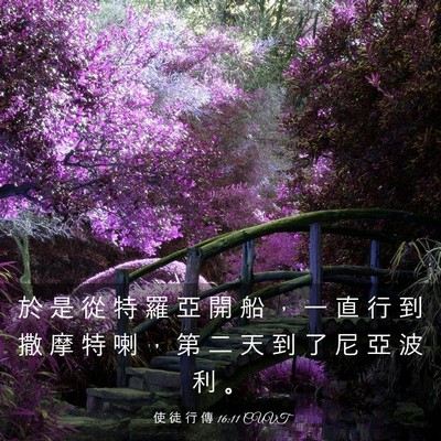 Picture 03 - 使 徒 行 傳 16:11 CUVT - 於 是 從 特 羅 亞 開 船 ， 一 直 行 - Bible Verse Picture