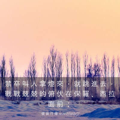 Picture 03 - 使 徒 行 傳 16:29 CUVT - 禁 卒 叫 人 拿 燈 來 ， 就 跳 進 去 - Bible Verse Picture