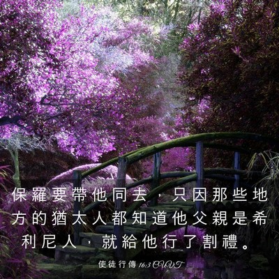 Picture 03 - 使 徒 行 傳 16:3 CUVT - 保 羅 要 帶 他 同 去 ， 只 因 那 些 - Bible Verse Picture