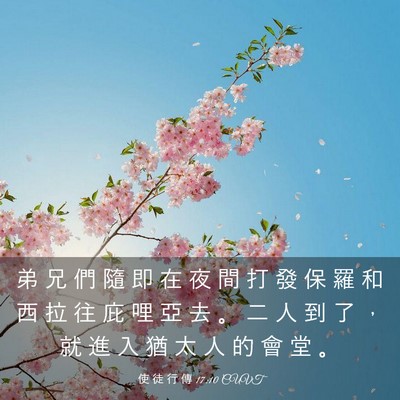 Picture 03 - 使 徒 行 傳 17:10 CUVT - 弟 兄 們 隨 即 在 夜 間 打 發 保 羅 - Bible Verse Picture