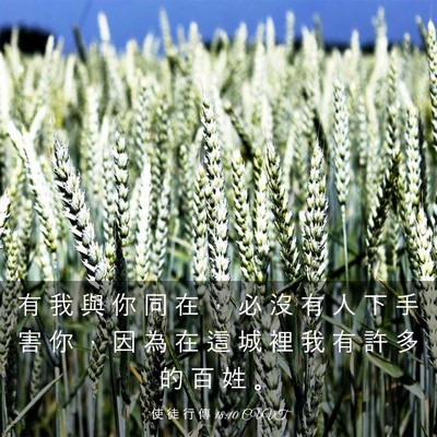 Picture 03 - 使 徒 行 傳 18:10 CUVT - 有 我 與 你 同 在 ， 必 沒 有 人 下 - Bible Verse Picture