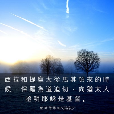 Picture 03 - 使 徒 行 傳 18:5 CUVT - 西 拉 和 提 摩 太 從 馬 其 頓 來 的 - Bible Verse Picture