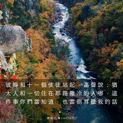 Picture 03 - 使 徒 行 傳 2:14 CUVT - 彼 得 和 十 一 個 使 徒 站 起 ， 高 - Bible Verse Picture