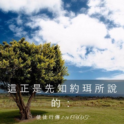Picture 03 - 使 徒 行 傳 2:16 CUVT - 這 正 是 先 知 約 珥 所 說 的 - Bible Verse Picture