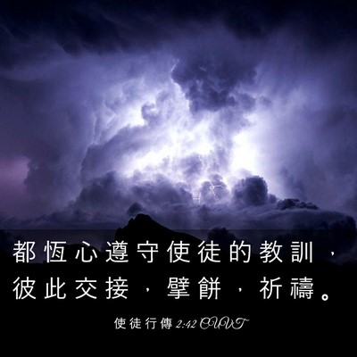 Picture 03 - 使 徒 行 傳 2:42 CUVT - 都 恆 心 遵 守 使 徒 的 教 訓 ， 彼 - Bible Verse Picture